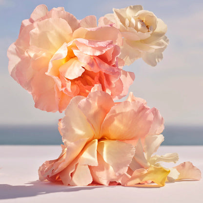 Les Extraits Collection - Dancing Blossom For Women